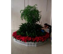中水噴灌機卷盤式JP50 農業高效澆灌與綠植養護的創新解決方案